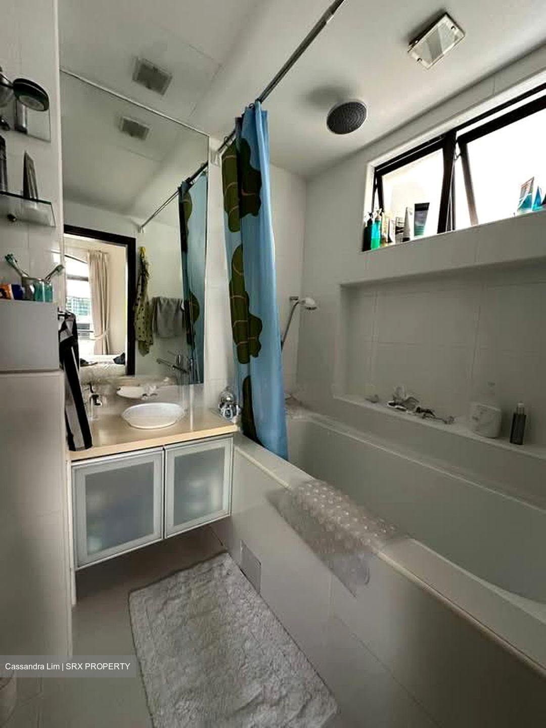 Tanglin Park (D10), Condominium #568294791